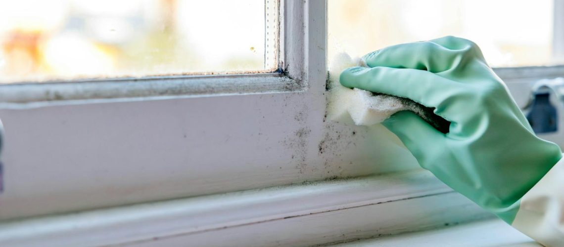 Comment enlever définitivement la moisissure de son logement ? Comment enlever définitivement la moisissure de son logement ?