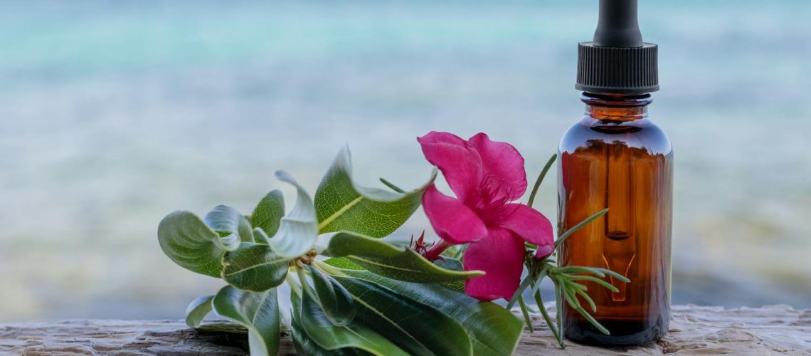 Les fleurs de bach sont-elles vraiment efficaces pour soulager le stress ? Les fleurs de bach sont-elles vraiment efficaces pour soulager le stress ?