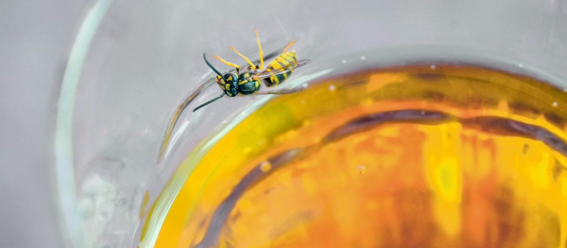 Répulsifs guêpe : solutions naturelles, insecticides, que faire à l'extérieur ?
