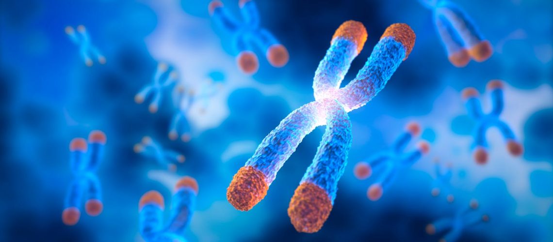 Sénescence : qu’est-ce que le vieillissement cellulaire ? Sénescence : qu'est-ce que le vieillissement cellulaire ?